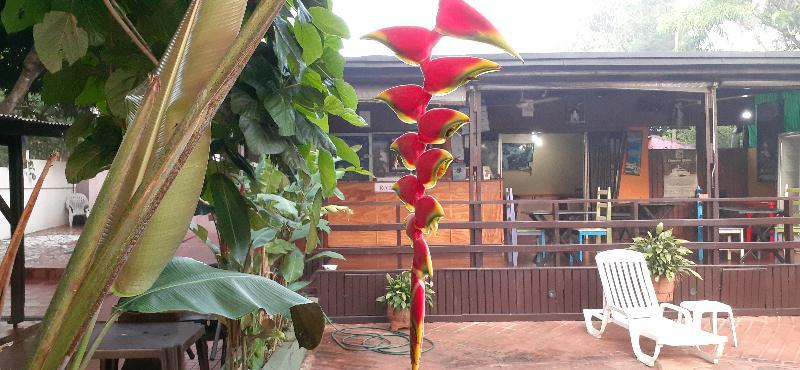 Residencial Noelia Hostel ปูแอร์โตอีกวาซู ภายนอก รูปภาพ
